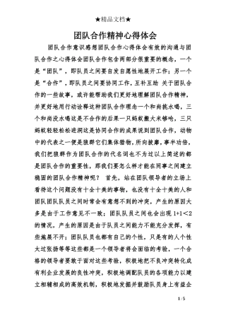 团队合作精神心得体会