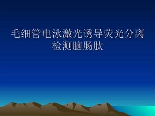 毛细管电泳激光诱导荧光分离检测脑汇编