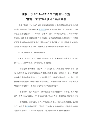 艺术2+1总结