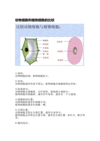 动物细胞和植物细胞的比较