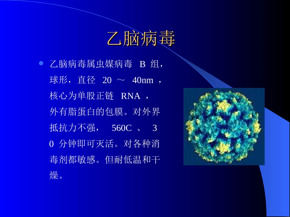 流-行-性-乙-型-脑-炎_第3页
