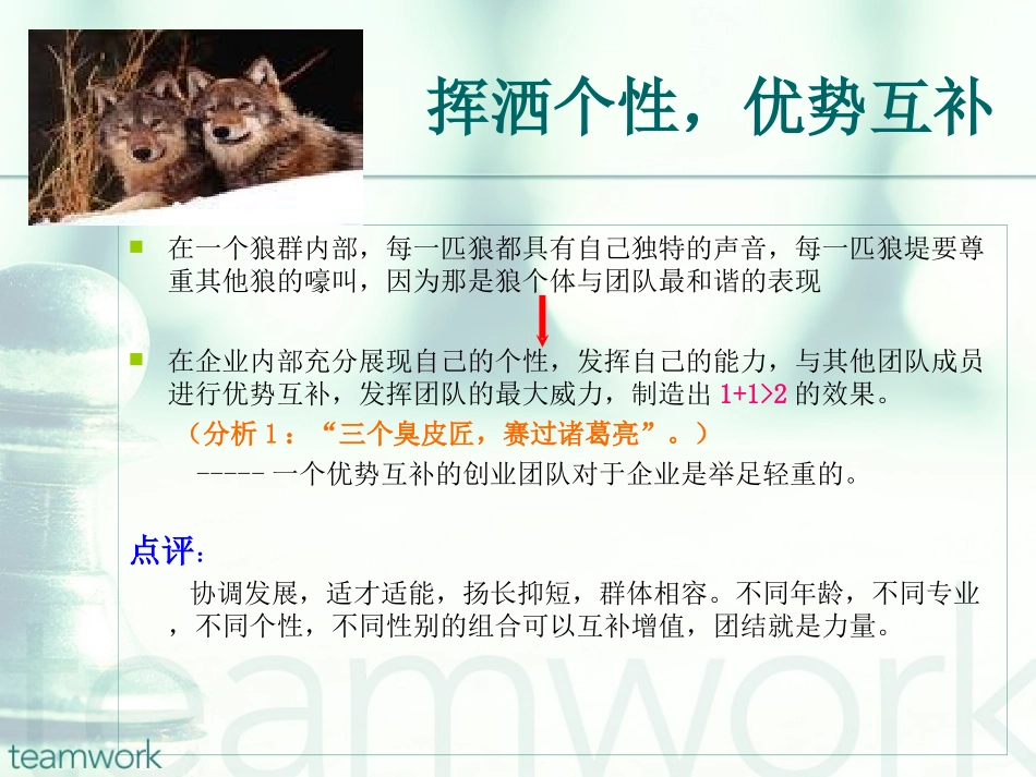 狼性员工-团队精神_第3页