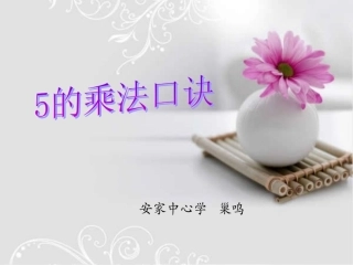 2013年新苏教版二年级上《5的乘法口诀》