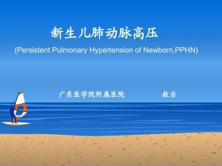 胎儿持续肺动脉高压PPHN