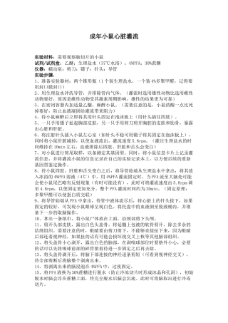 成年小鼠心脏灌流