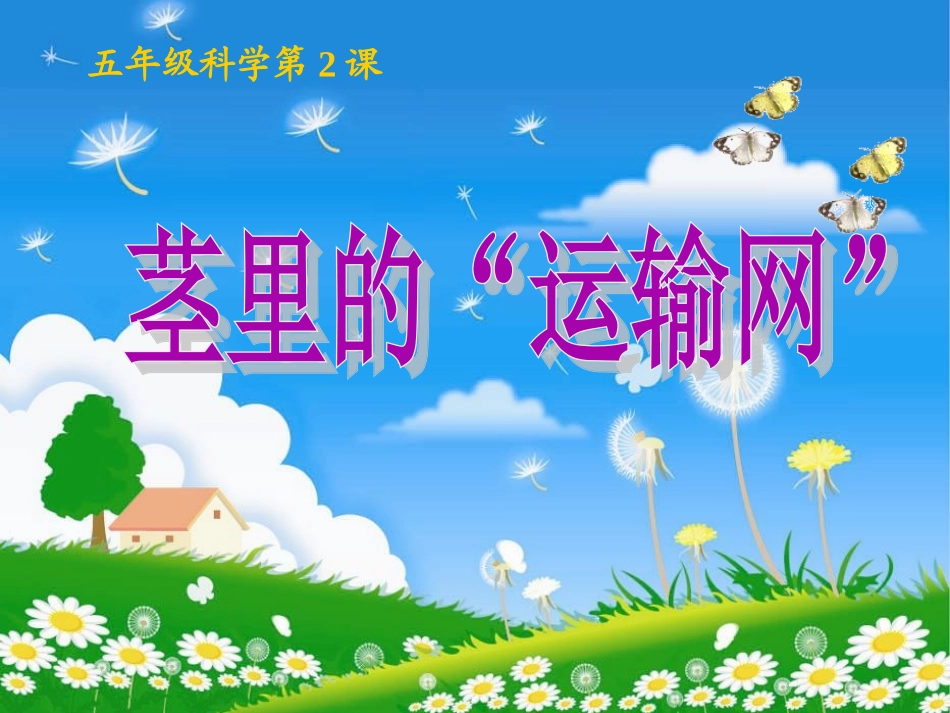 粤教版小学五年级上学期科学第2课茎里的“运输网”课件_第1页