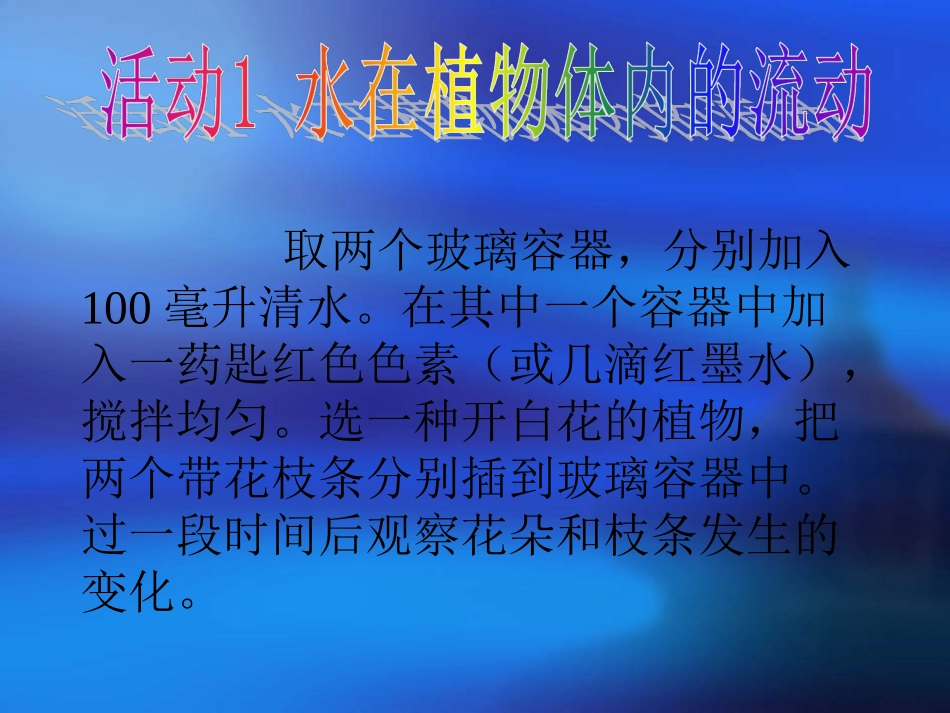 粤教版小学五年级上学期科学第2课茎里的“运输网”课件_第3页
