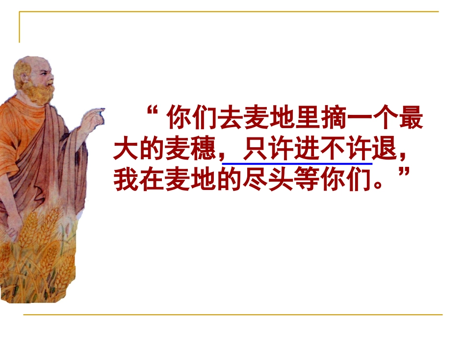 最大的麦穗课件_第3页