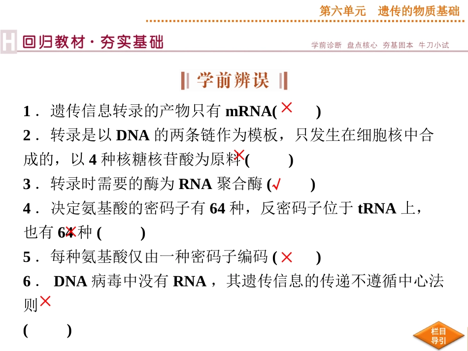 2015届《优化方案》高考生物（苏教版）一轮配套课件：第19讲基因控制蛋白质的合成_第3页
