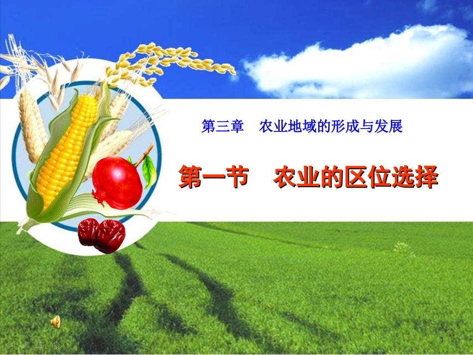 农业区位选择_第1页