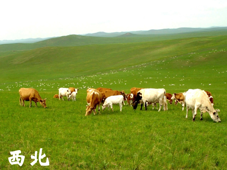 农业区位选择_第3页