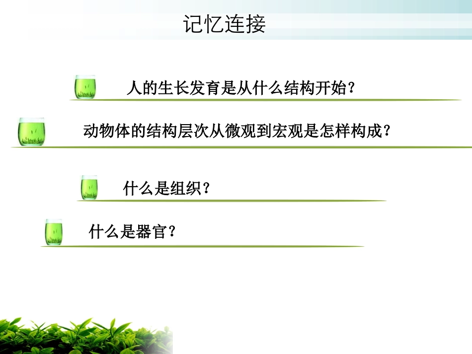(新人教版)植物体的结构层次_第2页