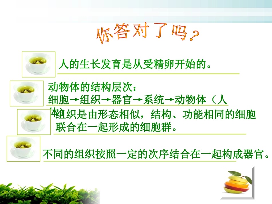 (新人教版)植物体的结构层次_第3页