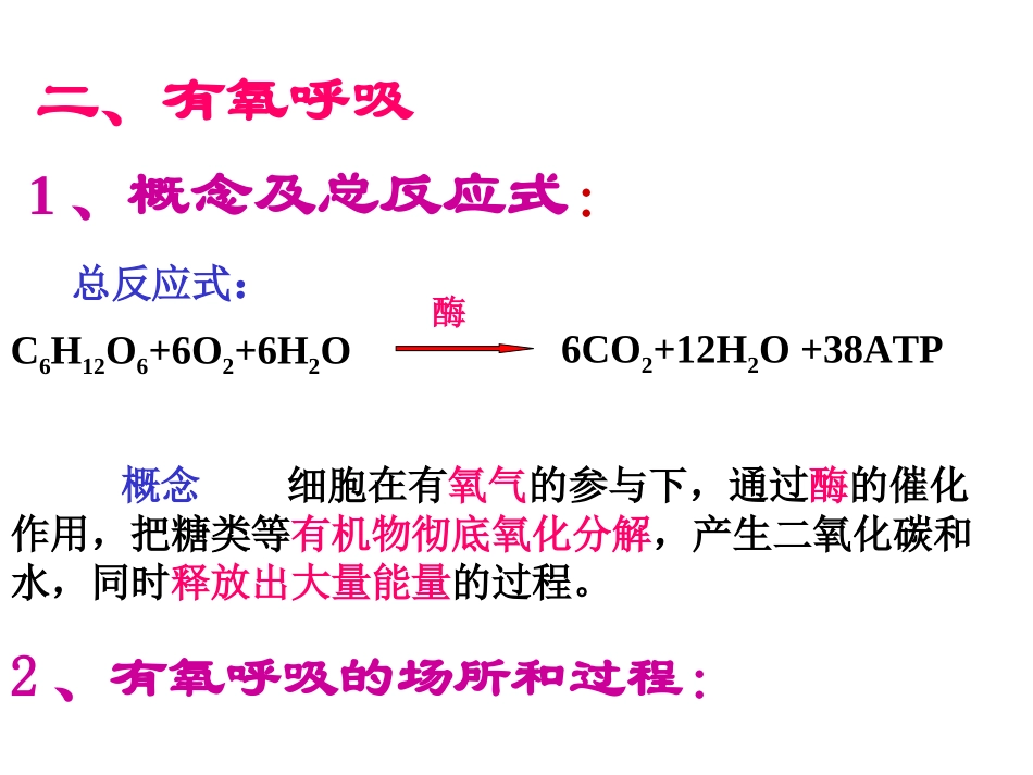 呼吸作用过程(精)_第3页