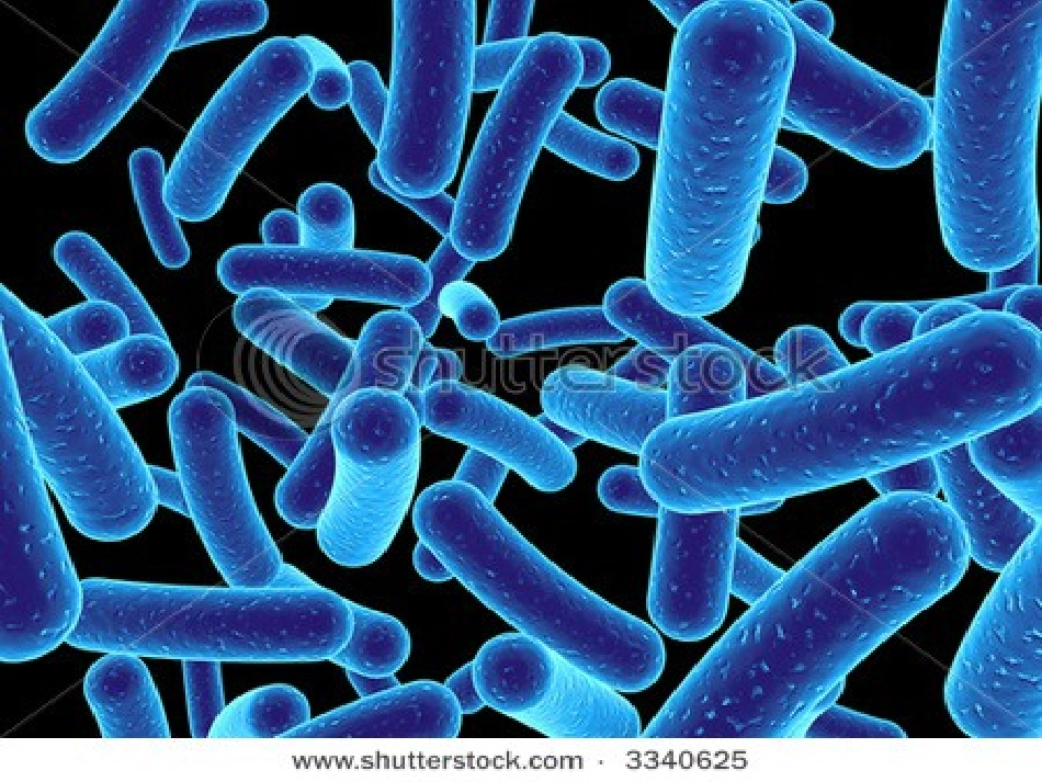 J美容院的卫生与消毒_第3页