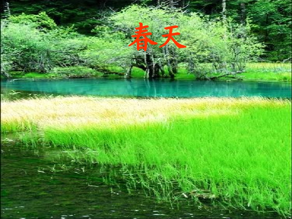 幼儿园大班语言：四季课件_第2页
