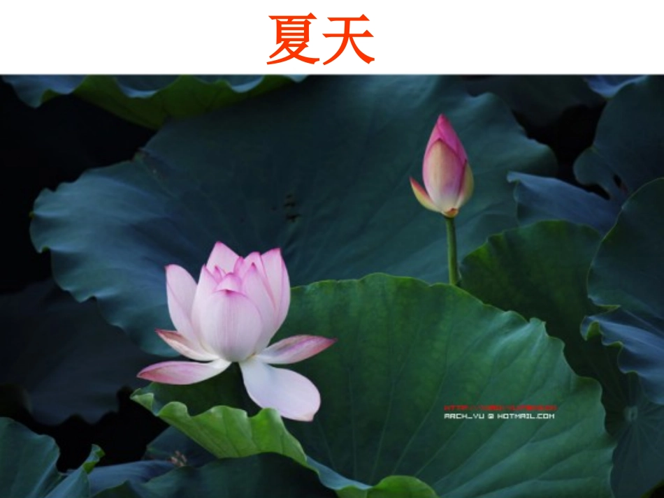 幼儿园大班语言：四季课件_第3页