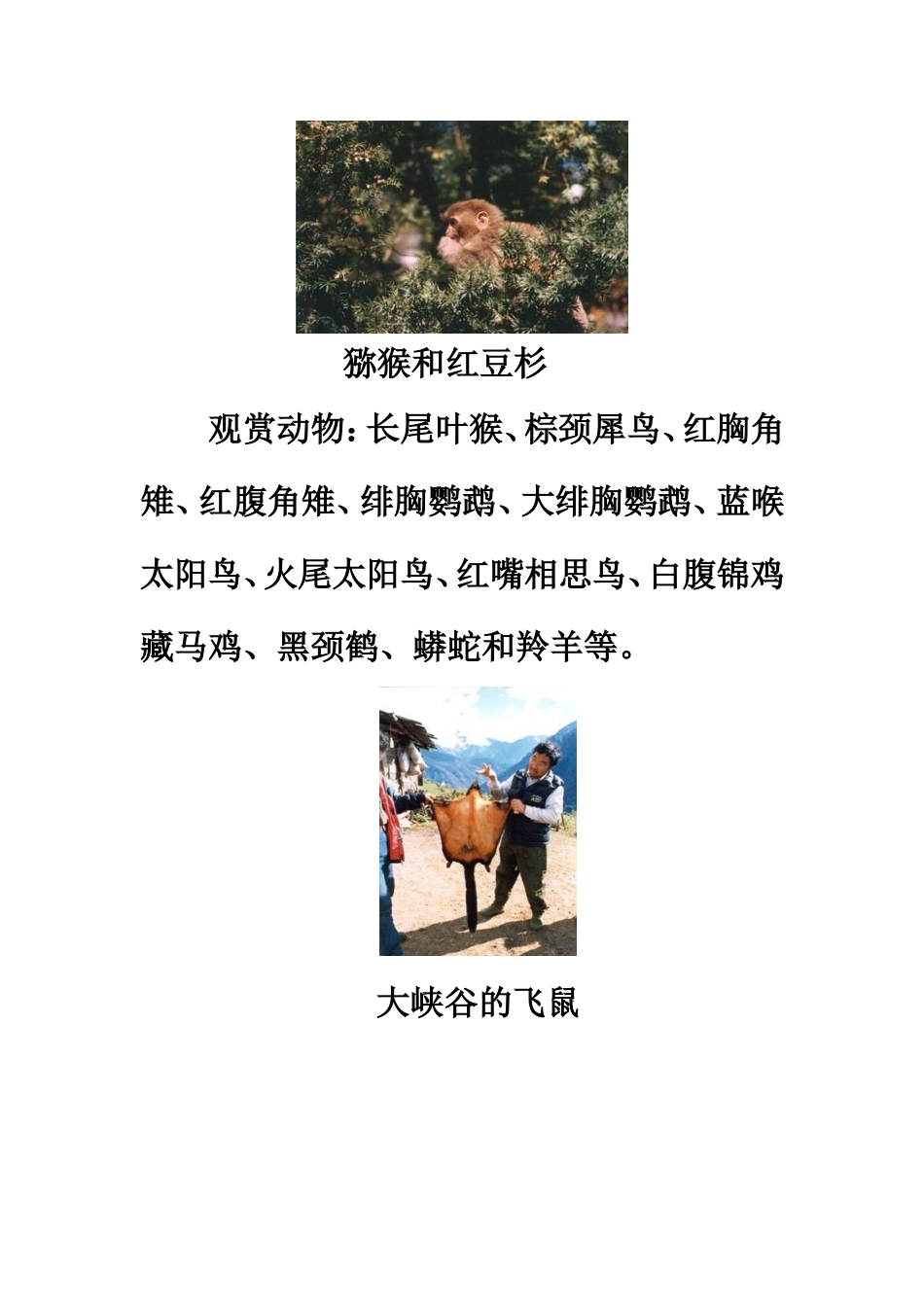 大峡谷的动物资源_第3页