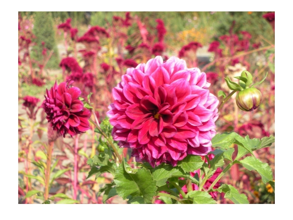 五年级下美术课件-重复与渐变_第1页