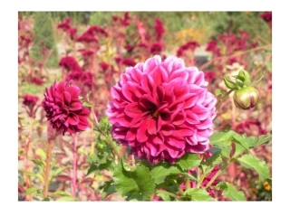 五年级下美术课件-重复与渐变