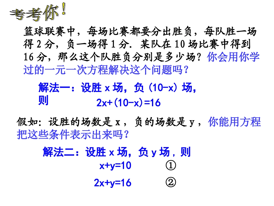 二元一次方程组（课件）_第2页