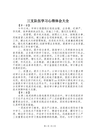三支队伍学习心得体会大全 