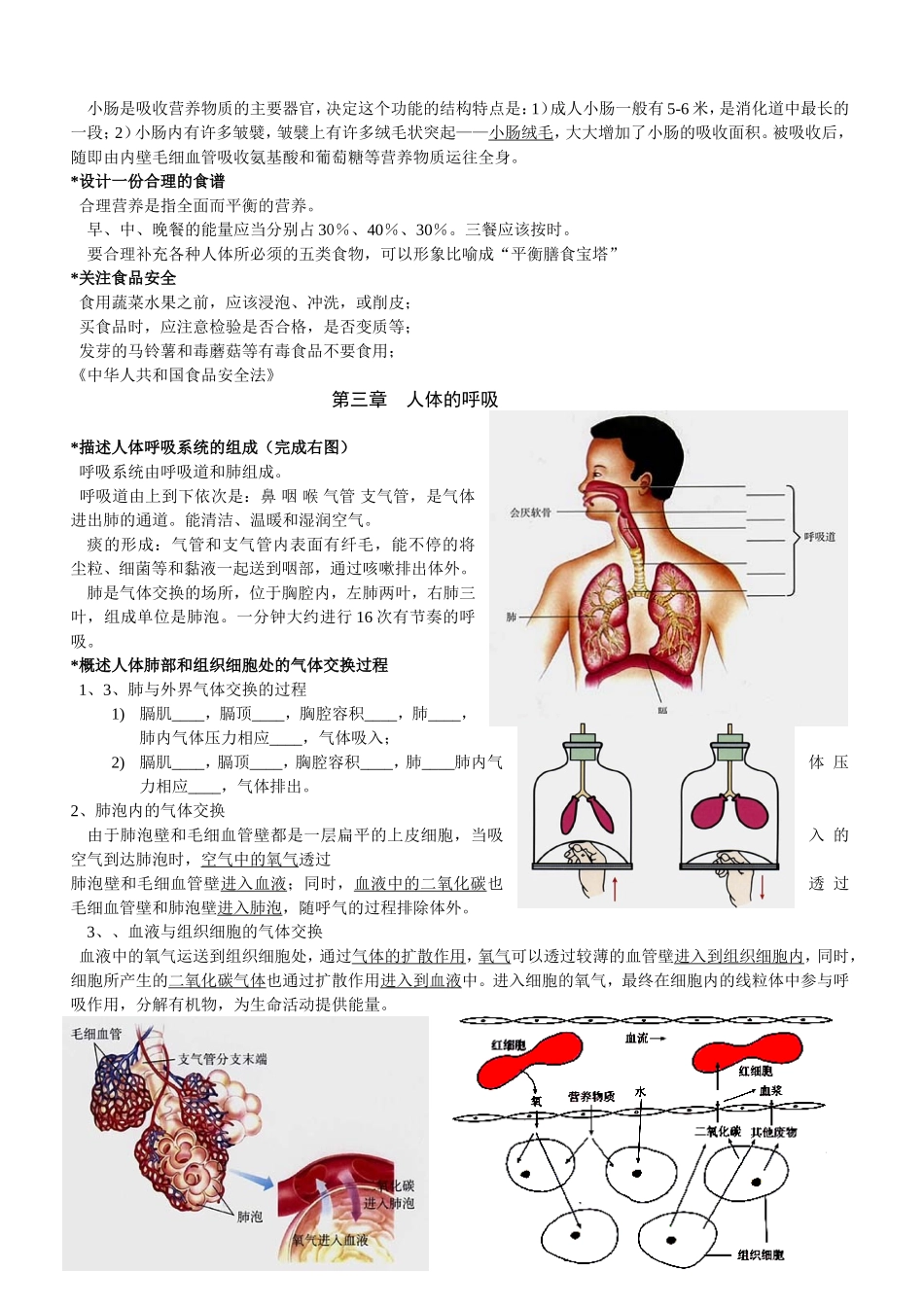 七年级下册复习提纲_第3页