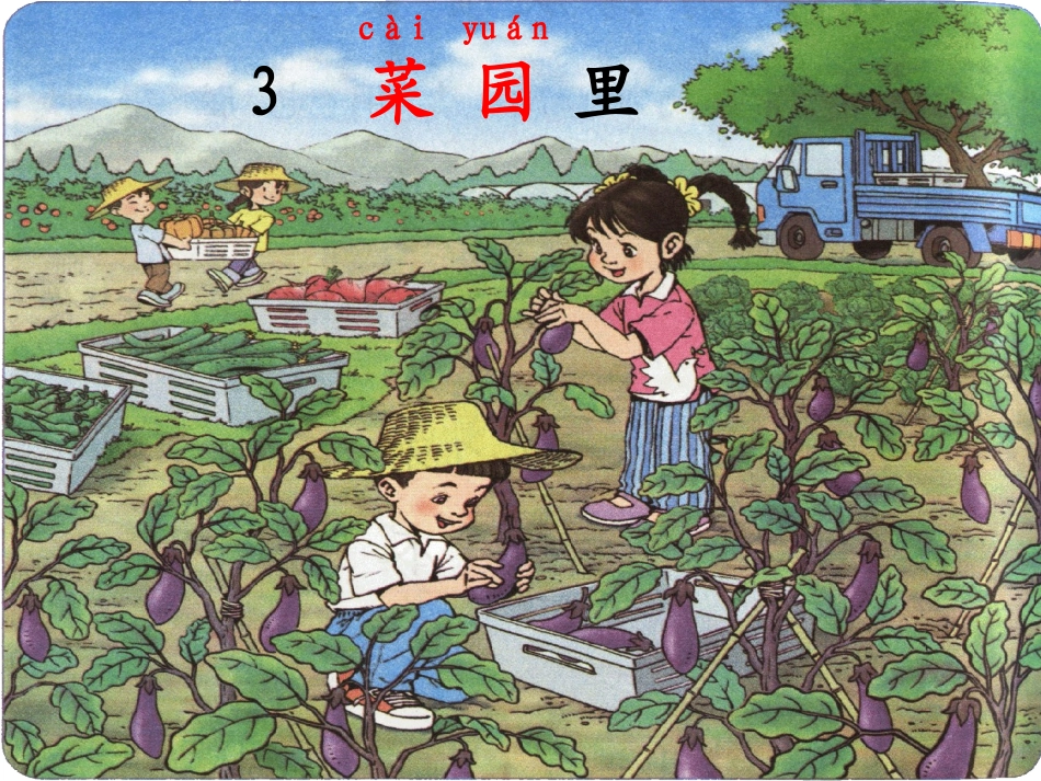 《菜园里》课件_第1页