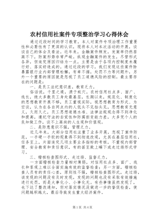 农村信用社案件专项整治学习心得休会 