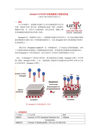 Annexin-V-FITCPI细胞凋亡检测试剂盒