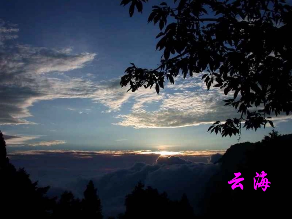 阿里山纪行1_第3页