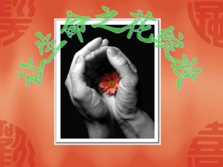 让生命之花绽放__课件