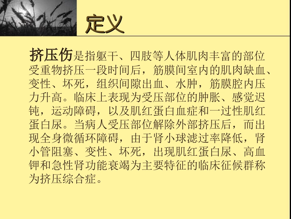 挤压伤及挤压综合_第2页