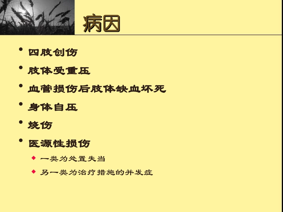 挤压伤及挤压综合_第3页