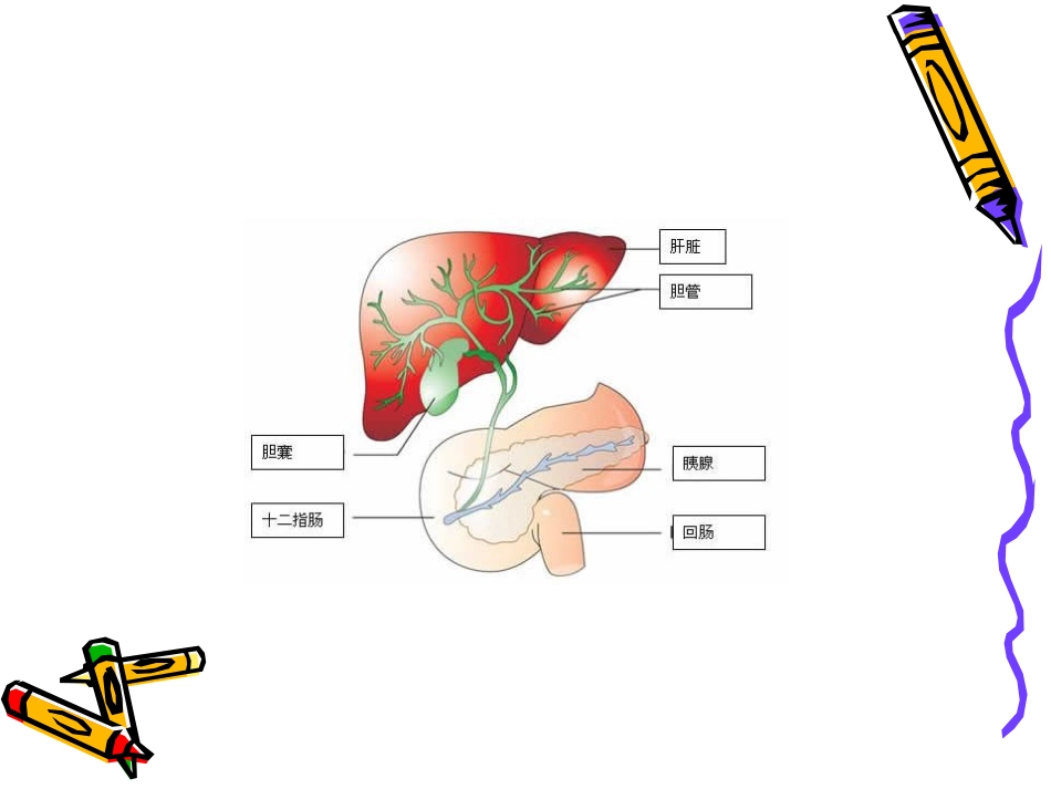 爱爱医资源-肝内胆管结石。_第3页