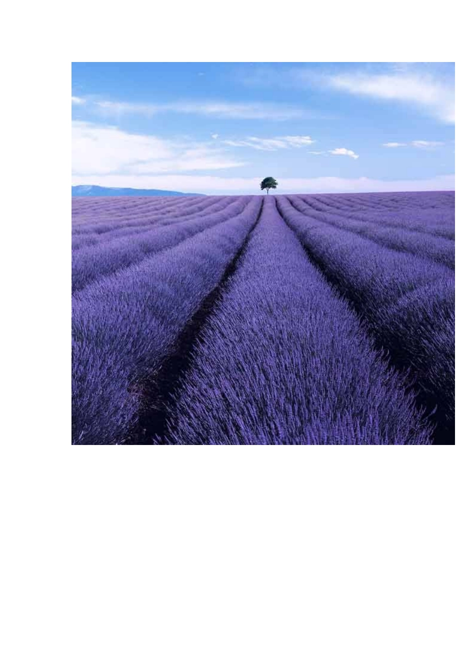 世界各地占星术比较概要_第3页