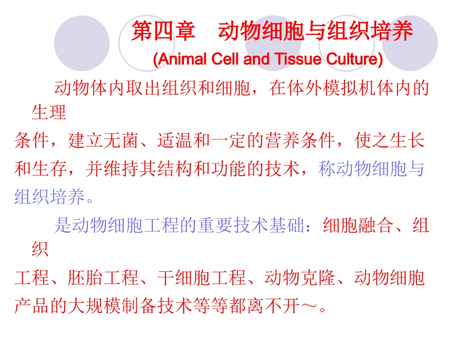 体外培养细胞的生长与增殖过程_第1页