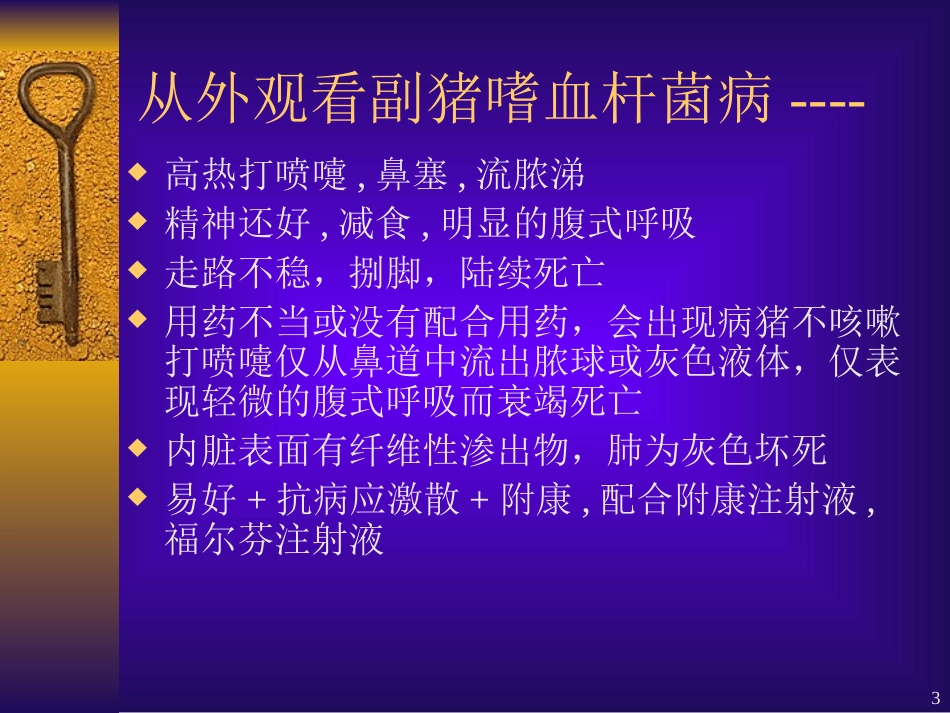 从外观看猪病诊治_第3页