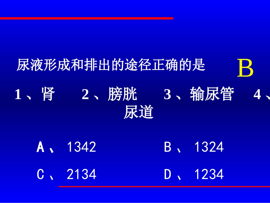尿液形成的过程_第2页