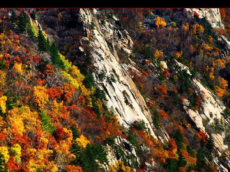 四年级科学-各种各样的岩石123_第3页