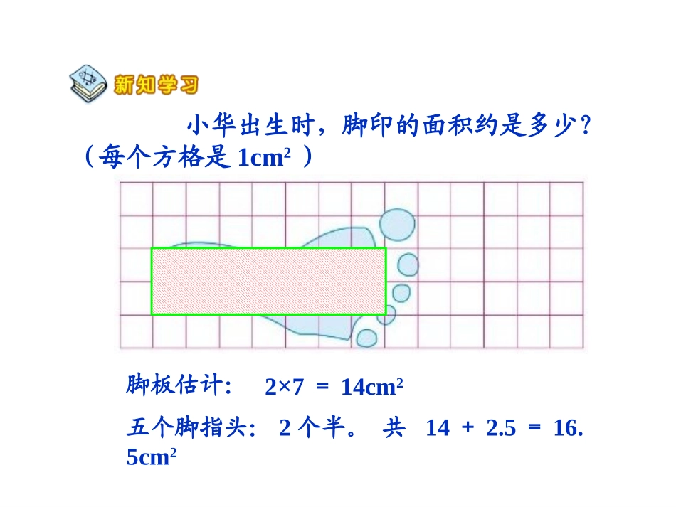 《成长的脚印》_第3页