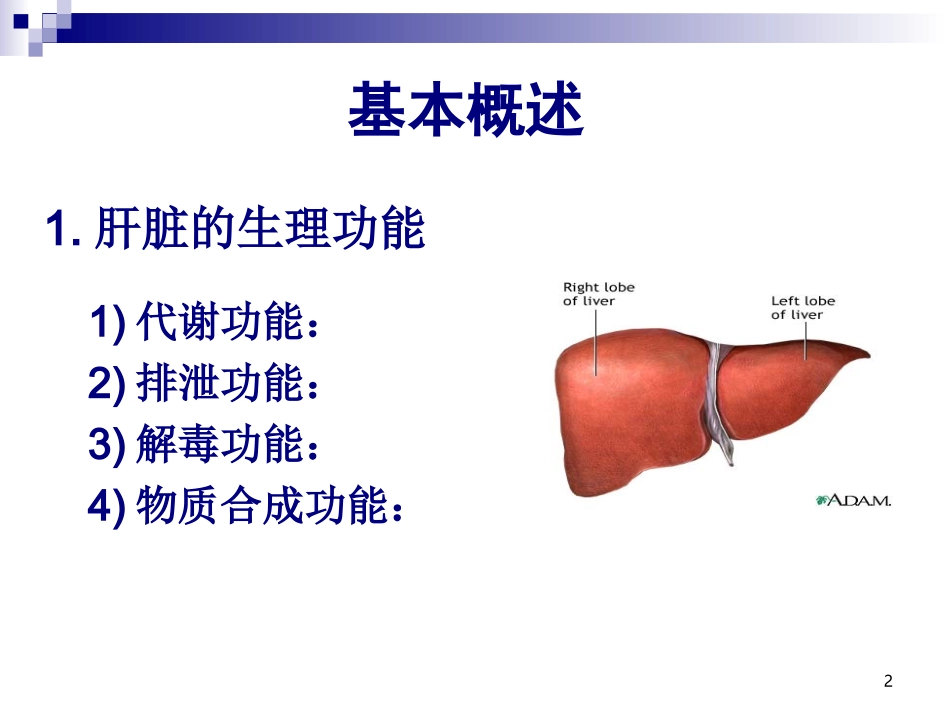生化——肝功能(新)_第2页