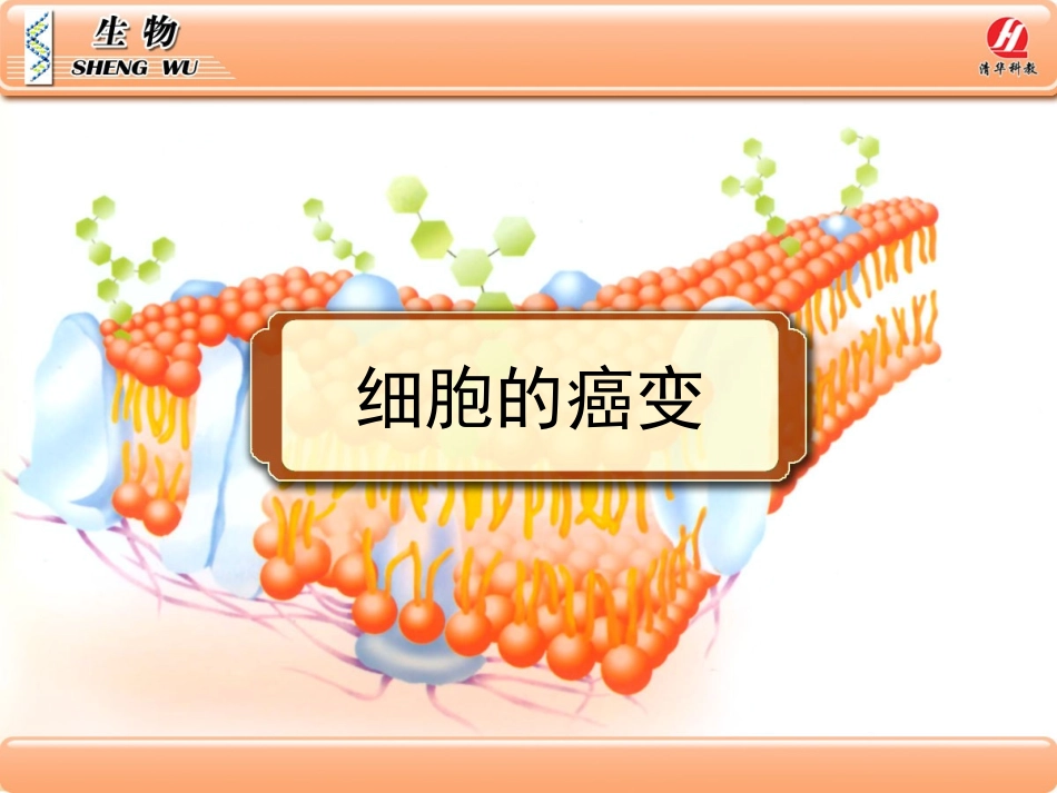 生物①必修64《细胞的癌变》PPT课件_第1页
