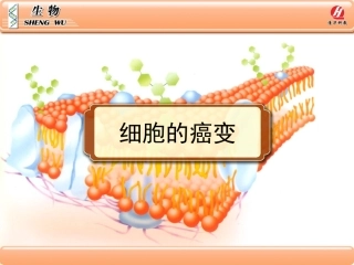 生物①必修64《细胞的癌变》PPT课件