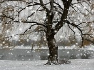 《雪地里的小画家》课件(1)