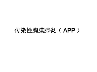 传染性胸膜肺炎(APP)概述