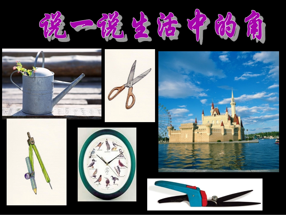 沪科版七年级上44角_第2页