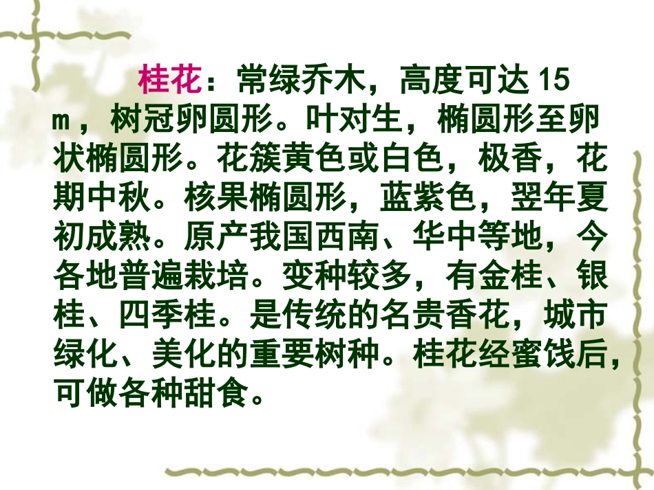 《桂花雨》_(3)_第3页