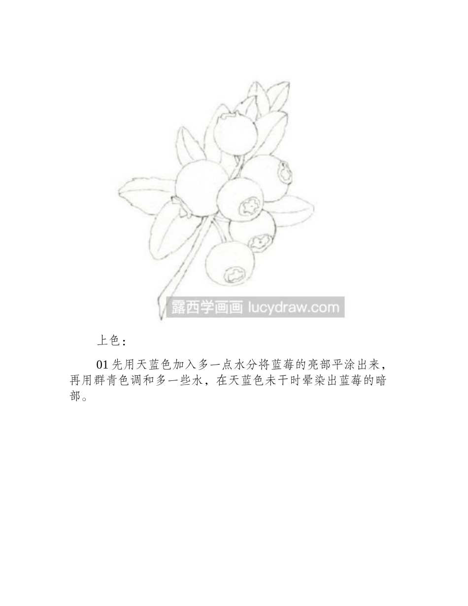 美味蓝莓水彩画教程水彩画教程3_第2页