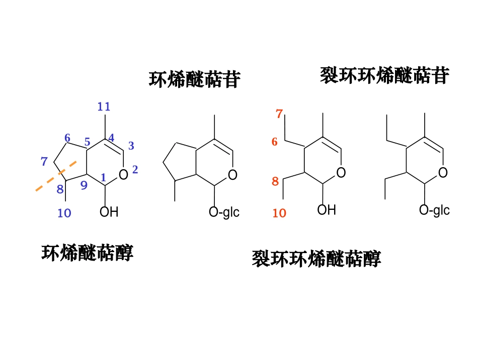 南方医科大学第六讲2_第2页